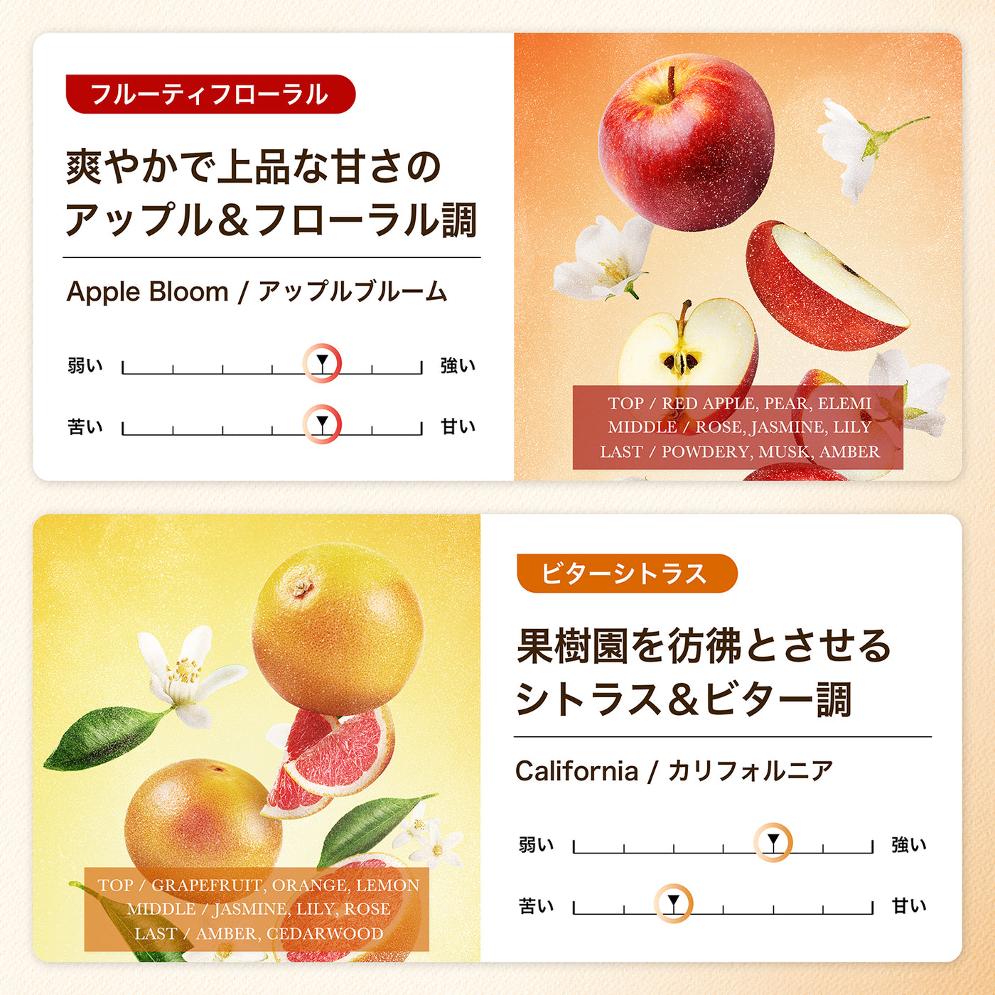 08_c08c95d0-f944-4dd5-9be0-