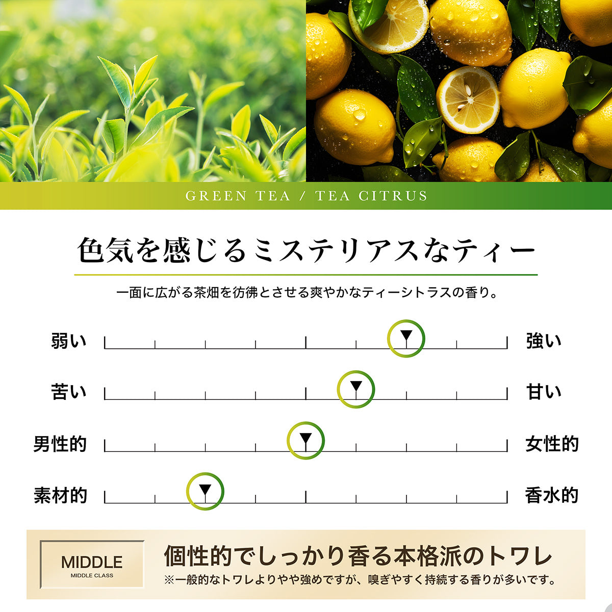 FRAGRANCE JOURNAL 6年分 約237,600円相当 journal standard Furniture ルームフレグランス JSF AROMATIC