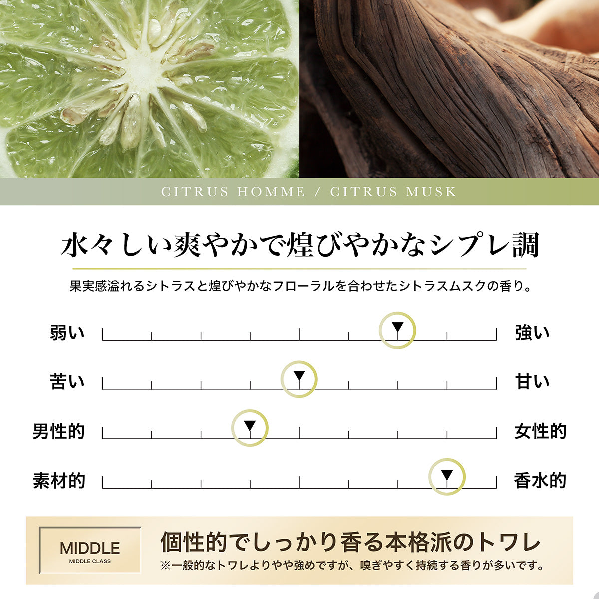 NILE 香水 シトラスオム シトラスムスク シプレ メンズ オードトワレ