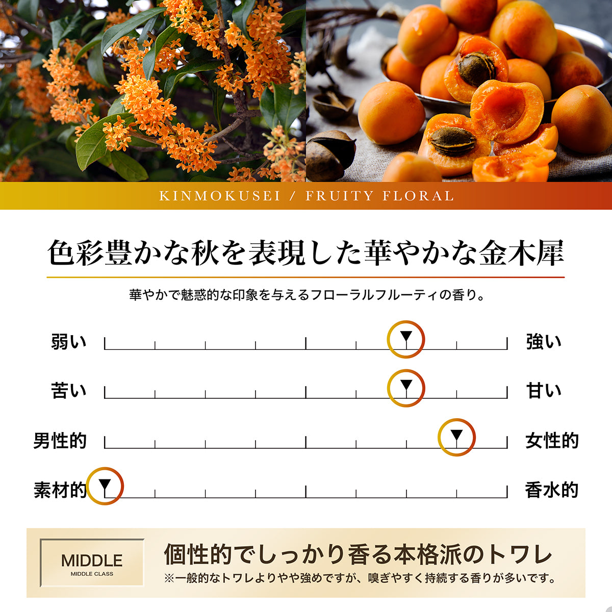 ドラマト　フレグランス　由井 賭ケグルイ 香水 | フェアリーテイル