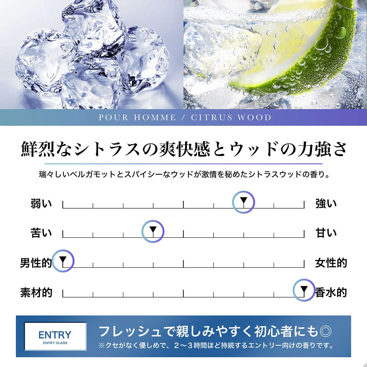 NILE 香水 プールオム シトラスウッド メンズ オードトワレ 50ml
