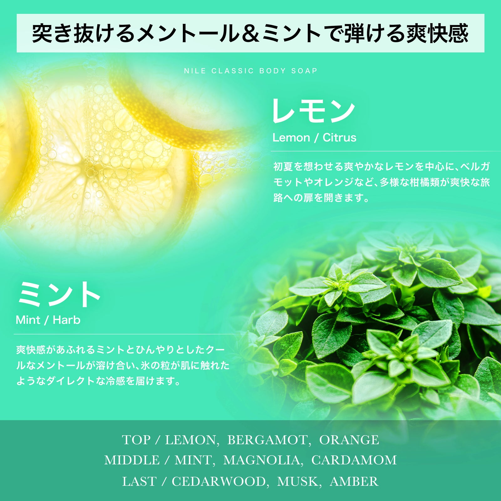 冷感タイプ】【夏季限定】NILE クラシックボディソープ メントール配合